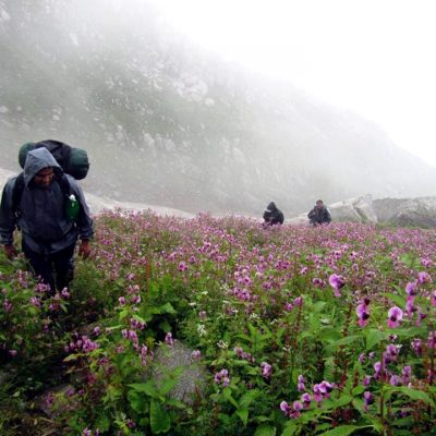 Seven Lakes Trek, Dharamshala Mcleodganj India